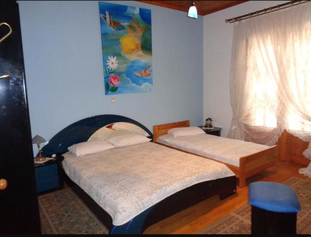 Apartment Nikos Limenaria  Ngoại thất bức ảnh