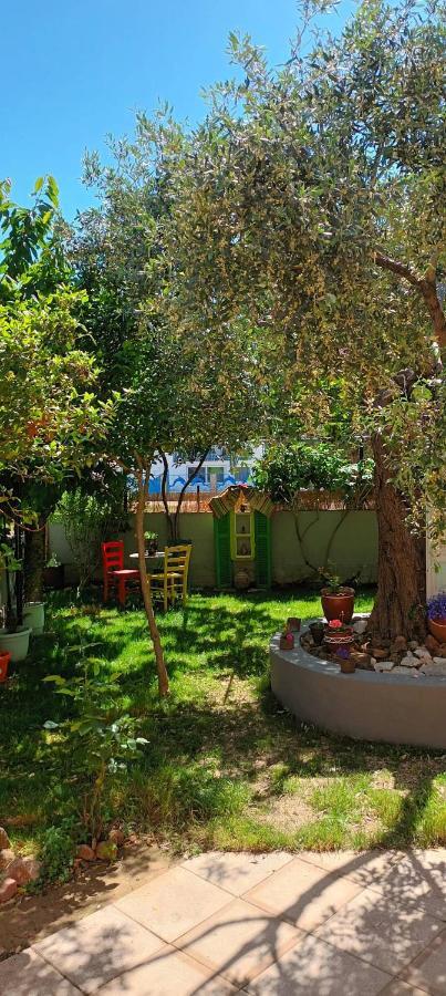 Apartment Nikos Limenaria  Ngoại thất bức ảnh