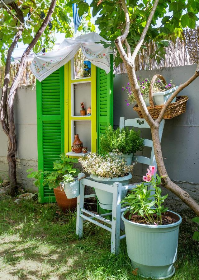 Apartment Nikos Limenaria  Ngoại thất bức ảnh